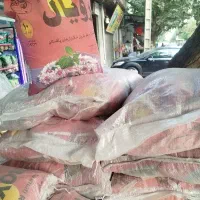برنج کشت پاکستان کیسه 10 کیلویی