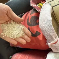 برنج رویال قرمز