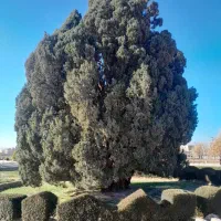 درآمد  در منزل