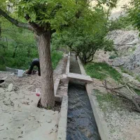 باغ فروشی در اخلمد