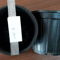 گلدان کف قیمت