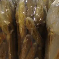 خیارشور خونگی خیار باغی کاملا تمیز بهداشتی