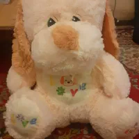 عروسک خرسی(نو)