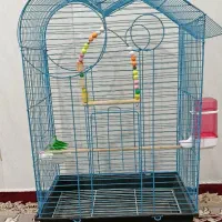 قفس