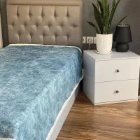 پتونیوکلاسیک دولایه