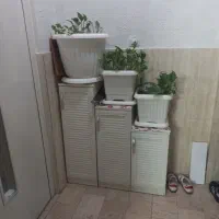 جا کفشی