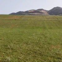 فروش یا معاوضه 8000 متر زمین کشاورزی