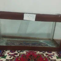 اکواریوم