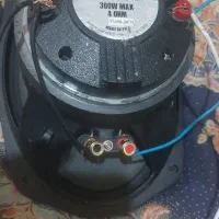 میدرنج فولرنج بیضی مشابه اک