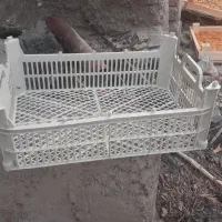 سبد