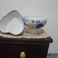 گل پنبه