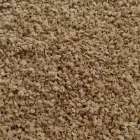 بذر  گوجه دست گیر
