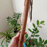 فلوت سرخپوستی لاکوتا