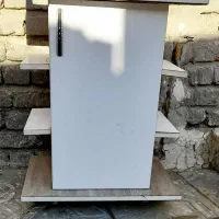 آکواریوم ماهی باکمد