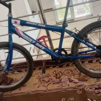 دوچرخه ۲۰ تنه بزرگ ساده