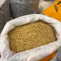 سویا سبحان/درجه یک
