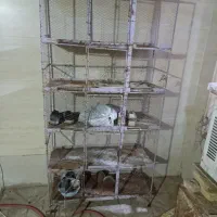 قفس آهنی پرنده جفتگاه