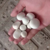 تعدادی سنگ آسیاب یاالماس معاوضه