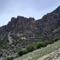 چوپانی