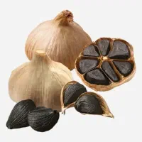 سردی رو ریشه کن کنید