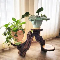 چوب . روستیک . طبیعی