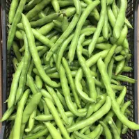 فروش محصولات خانگی