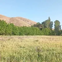خانه-باغ-10-هکتاری