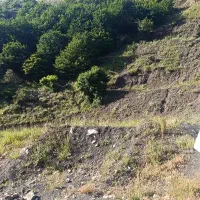 استخدام راننده بیل مکانیکی پیکور