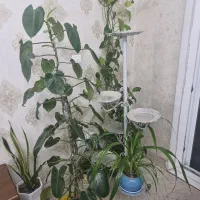 پایه گلدان یا استند گل
