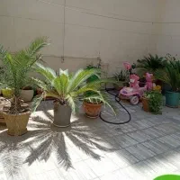 ۹۵ متری ویلایی در تهرانسرغربی