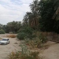 زمین مسکونی