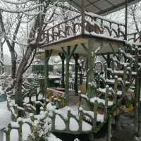 سرمایه گذار