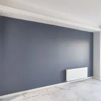 ۲ نفر همکار ماهر نقاش ساختمان و ۱ نفر کاراموز