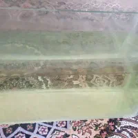 آکواریوم