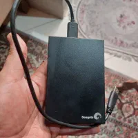 هارد سیگیت