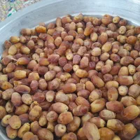 خرما قصب