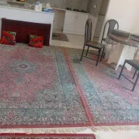 فرش|فرش|رشت, دباغیان|دیوار