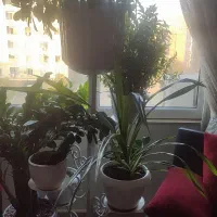 استند فلزی