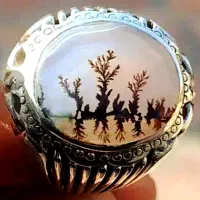 انگشتر شجر فوق کلکسیونی