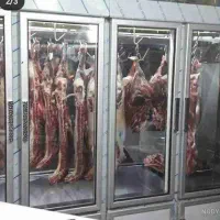 جذب نیرو قصابی و مرغکار