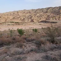 ۴ هکتار مناسب سرمایه گذاری،سوله،کشاورزی،دامداری و.