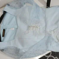 دو عدد اورال مجلسی