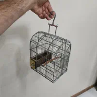 قفس سهره