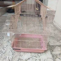 یک عدد قفس صورتی رنگ
