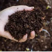 کود آلی هیومیک اسید