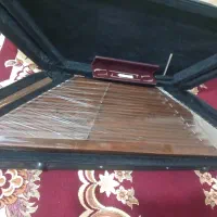 سنتور به همراه هارد کیس و متعلقات