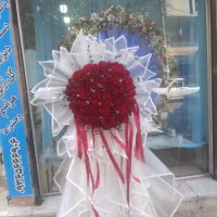 گل رز،۱۰۰ شاخه فقط ۲ملیون
