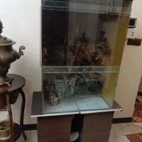 آکواریوم گیاهی