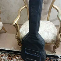 گیتار الوارز