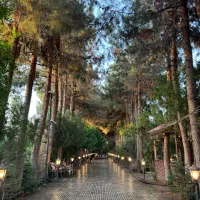 نیروی ساده و ماهر